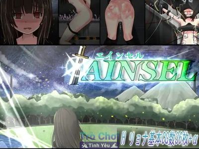AINSEL [1.0] - Picture 1